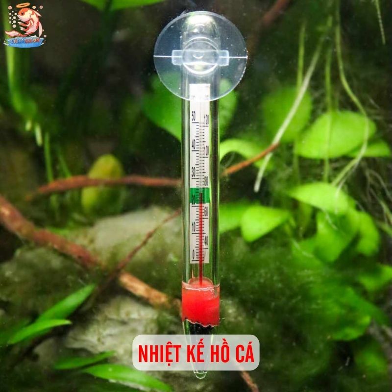 Gợi Ý 8 Thiết Bị Hữu Ích Giúp Quản Lý Hồ Cá Hiệu Quả 1 Nhiệt kế hồ cá