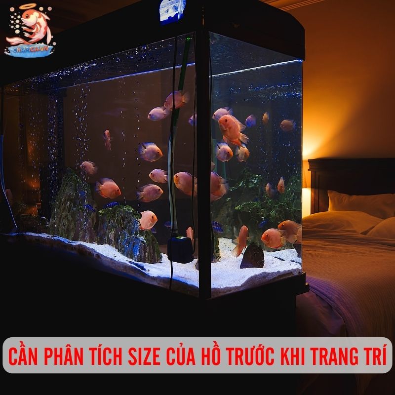 Bí Kíp Có 1-0-2 Để Trang Trí Hồ Cá Đẹp & Dễ Vệ Sinh Nhất 1 Phân tích size hồ trước khi trang trí
