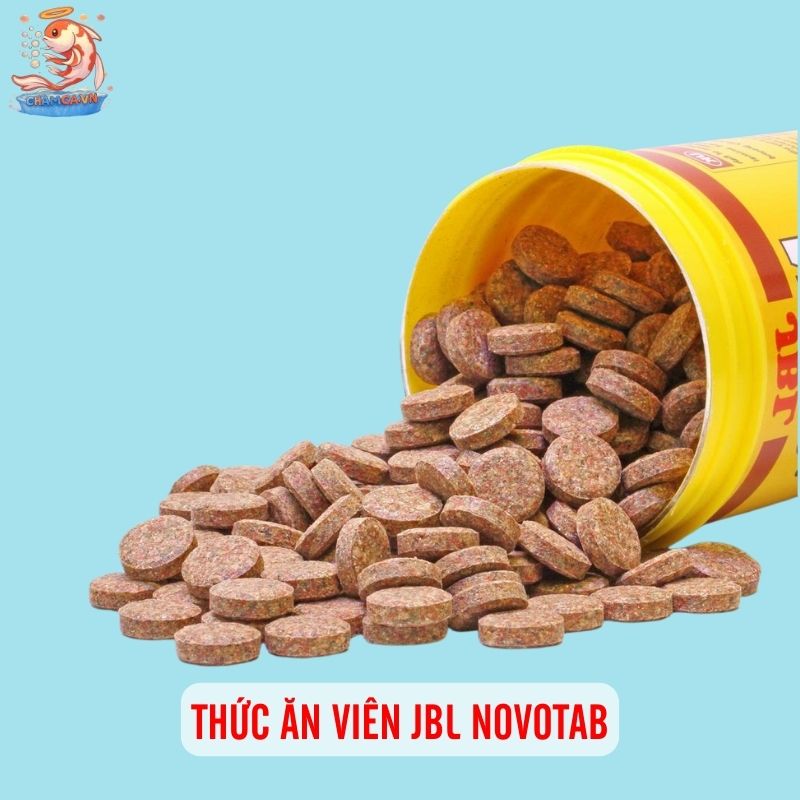 Top 10 Loại Thức Ăn Giúp Cá Cảnh Nước Ngọt Tăng Trưởng Nhanh 10 Thức ăn viên JBL NovoTab
