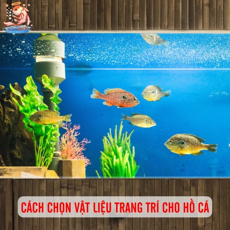 Bí Kíp Có 1-0-2 Để Trang Trí Hồ Cá Đẹp & Dễ Vệ Sinh Nhất 2 Chọn vật liệu trang trí phù hợp