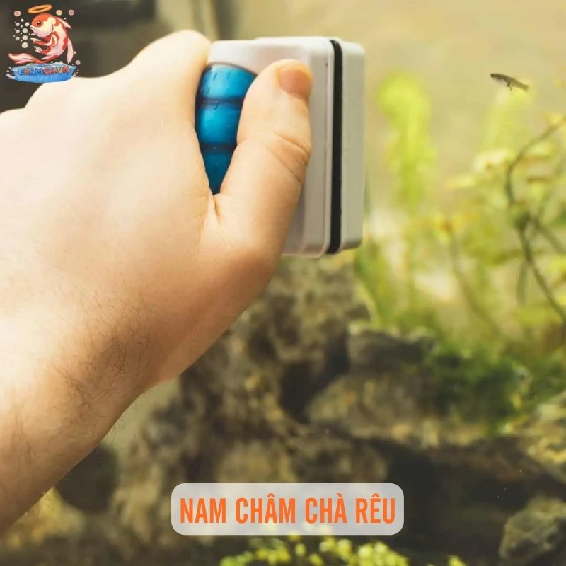 Top 7 Dụng Cụ Giúp Vệ Sinh Hồ Cá Nhanh, Sạch & Hiệu Quả 3 Nam châm chà rêu