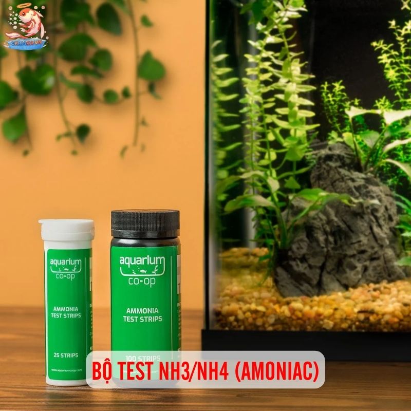 Gợi Ý 8 Thiết Bị Hữu Ích Giúp Quản Lý Hồ Cá Hiệu Quả 3 Bộ test NH3/NH4 (Amoniac)