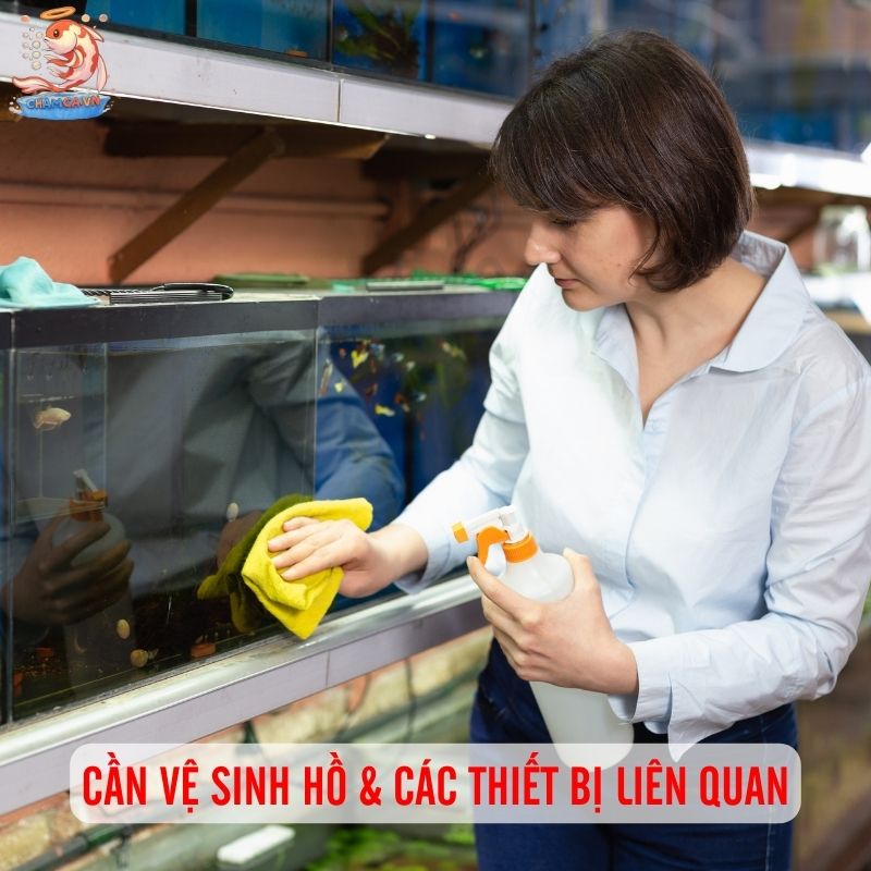 Thay Nước & Vệ Sinh Hồ Đúng Kỹ Thuật Cho Người Mới Nuôi Cá 4 Cần vệ sinh hồ và cả các thiết bị liên quan