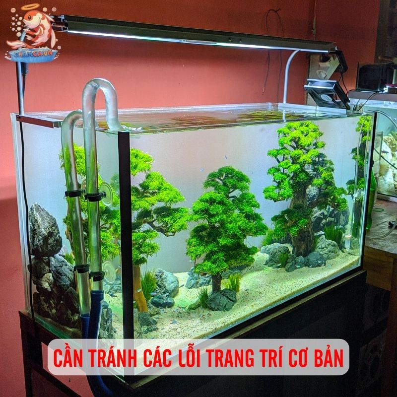 Bí Kíp Có 1-0-2 Để Trang Trí Hồ Cá Đẹp & Dễ Vệ Sinh Nhất 4 Hạn chế các lỗi thường gặp khi trang trí hồ cá