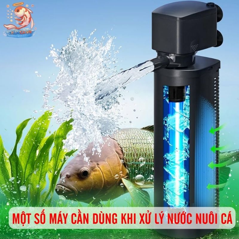 Cách Xử Lý Nước Hồ Cá Chuẩn Chỉnh Nhất Để Cá Sống Khoẻ 4 Các loại máy móc cần dùng khi xử lý nước trong hồ