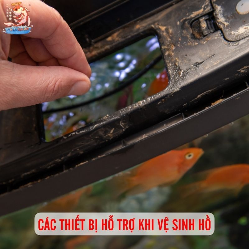 Thay Nước & Vệ Sinh Hồ Đúng Kỹ Thuật Cho Người Mới Nuôi Cá 5 Các thiết bị dùng khi vệ sinh hồ cá