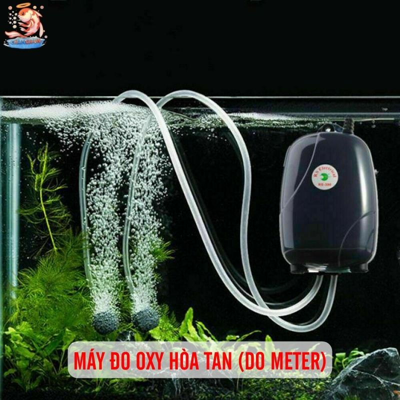 Gợi Ý 8 Thiết Bị Hữu Ích Giúp Quản Lý Hồ Cá Hiệu Quả 5 Máy đo Oxy hòa tan (DO Meter)