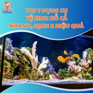 7-dung-cu-ve-sinh-ho-ca-thum-moi