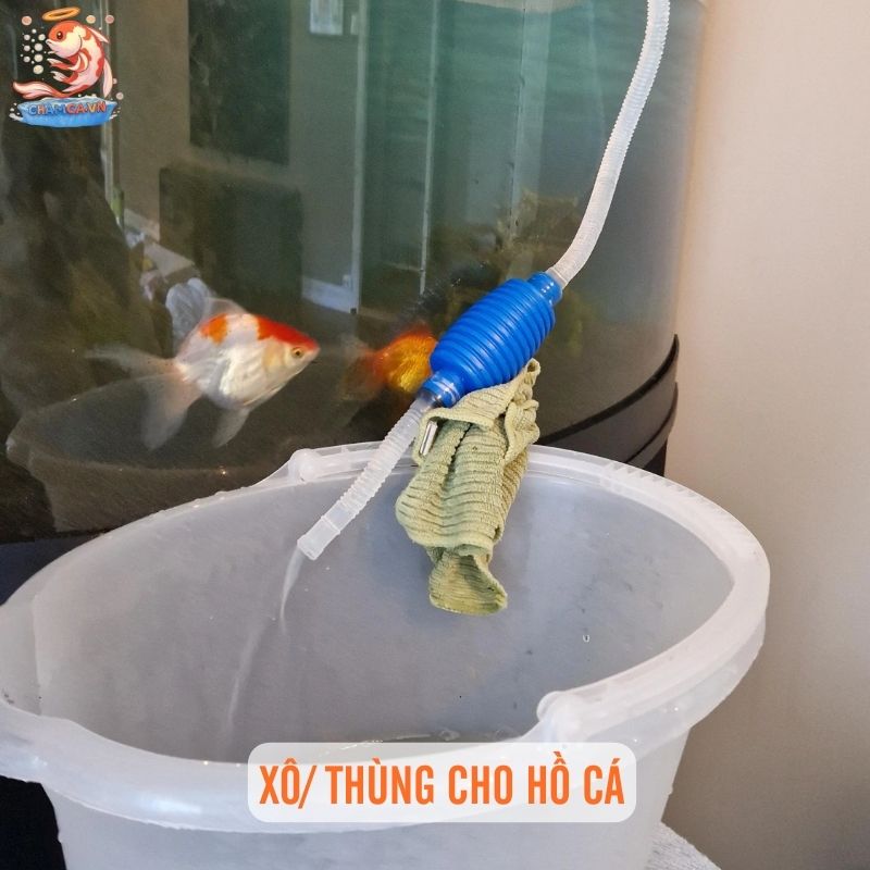 Top 7 Dụng Cụ Giúp Vệ Sinh Hồ Cá Nhanh, Sạch & Hiệu Quả 7 Xô hoặc thùng chứa nước riêng cho hồ cá