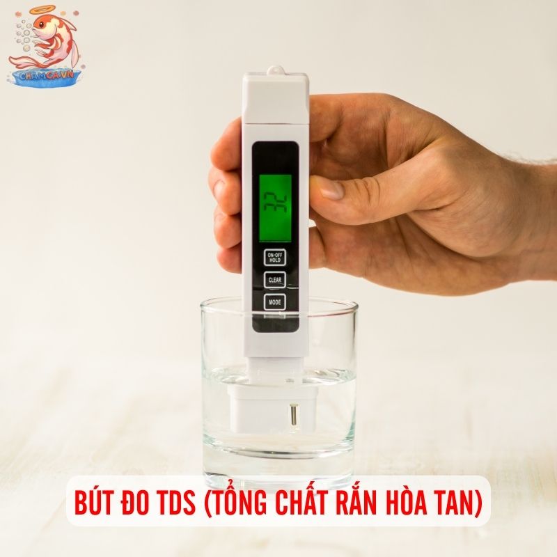 Gợi Ý 8 Thiết Bị Hữu Ích Giúp Quản Lý Hồ Cá Hiệu Quả 7 Bút đo TDS (Tổng chất rắn hòa tan)