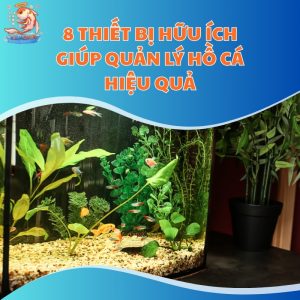 8-thiet-bi-quan-ly-ho-ca-thum-moi