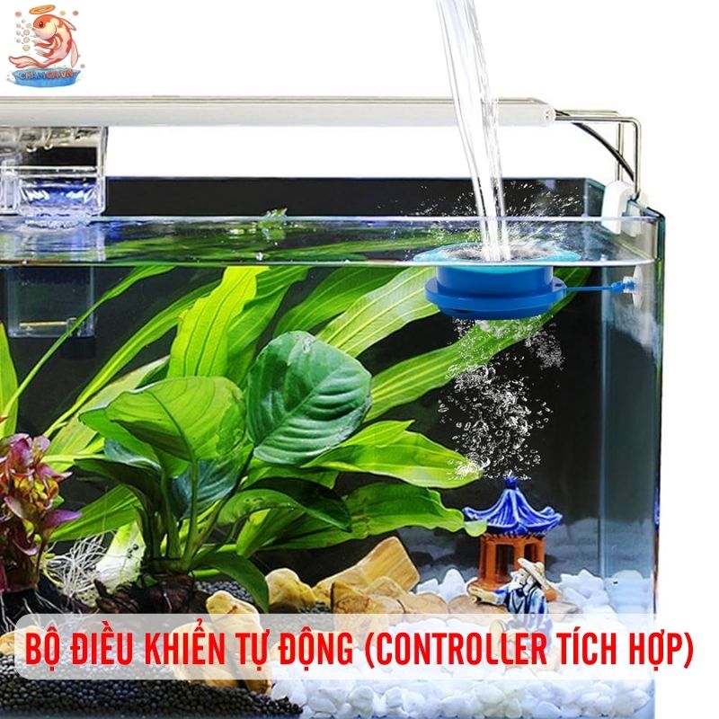 Gợi Ý 8 Thiết Bị Hữu Ích Giúp Quản Lý Hồ Cá Hiệu Quả 8 Bộ điều khiển tự động (Controller tích hợp)