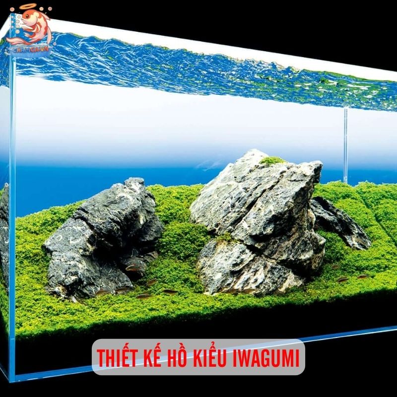 5 Bố Cục Trang Trí Hồ Cá Đẹp & Dễ Setup Nhất 2 Thiết kế hồ kiểu Iwagumi
