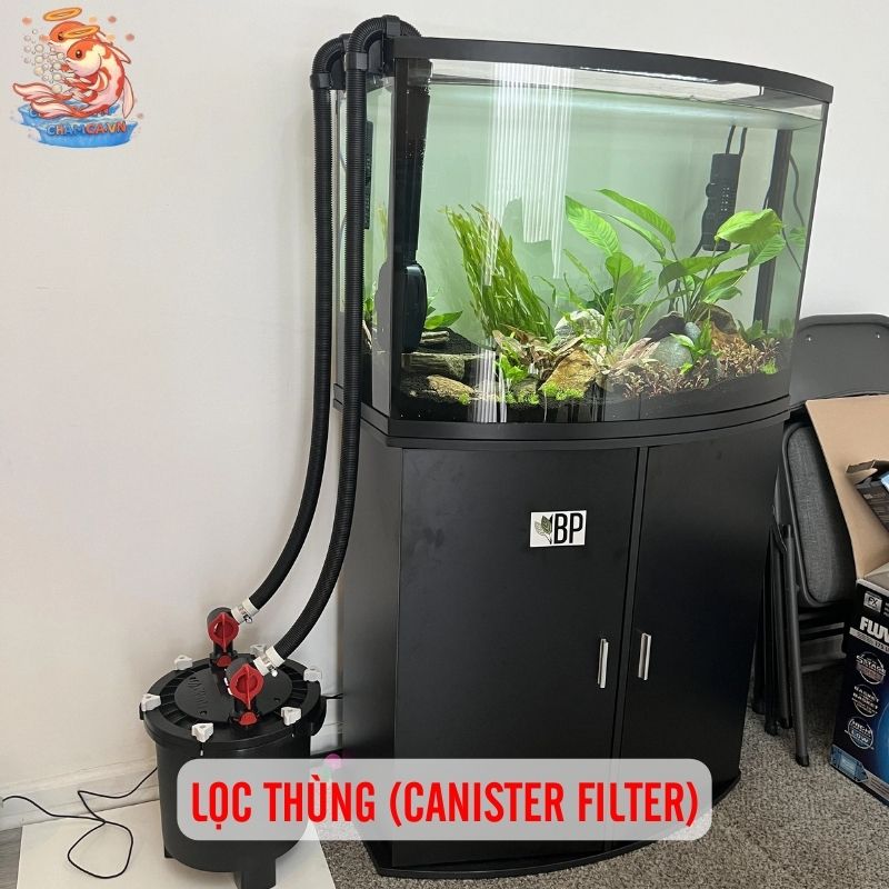 So Sánh Chi Tiết Các Loại Lọc Cho Hồ Cá Thủy Sinh 2 Lọc thùng (Canister filter)