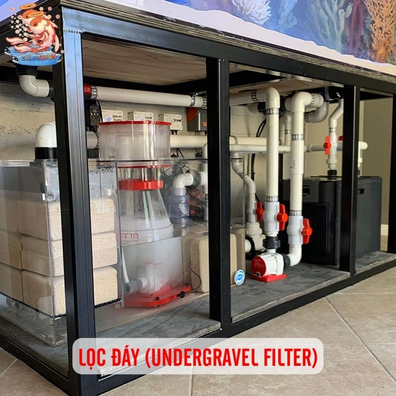 So Sánh Chi Tiết Các Loại Lọc Cho Hồ Cá Thủy Sinh 5 Lọc tràn trên và lọc tràn dưới