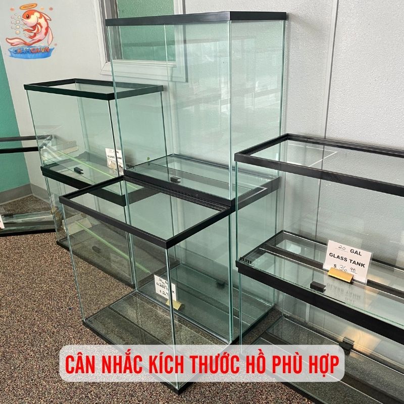 Bí Quyết Chọn Hồ Cá Khi Mới Chơi Thuỷ Sinh Lần Đầu 2 Cân nhắc kích thước hồ phù hợp