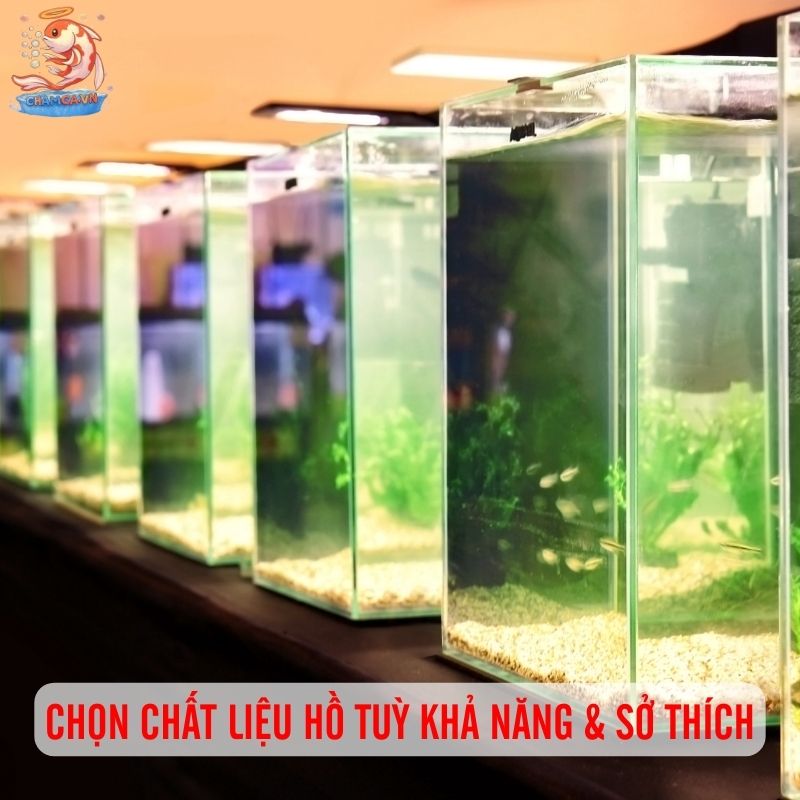 Bí Quyết Chọn Hồ Cá Khi Mới Chơi Thuỷ Sinh Lần Đầu 3 Chọn chất liệu hồ tuỳ khả năng & sở thích