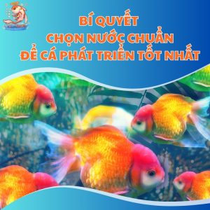 chon-nuoc-ho-ca-thum-moi