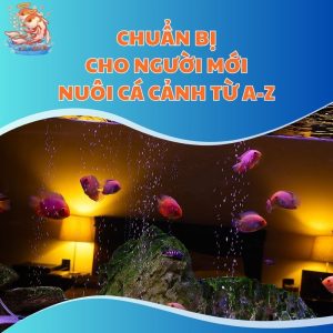 chuan bi cho nguoi moi nuoi ca canh
