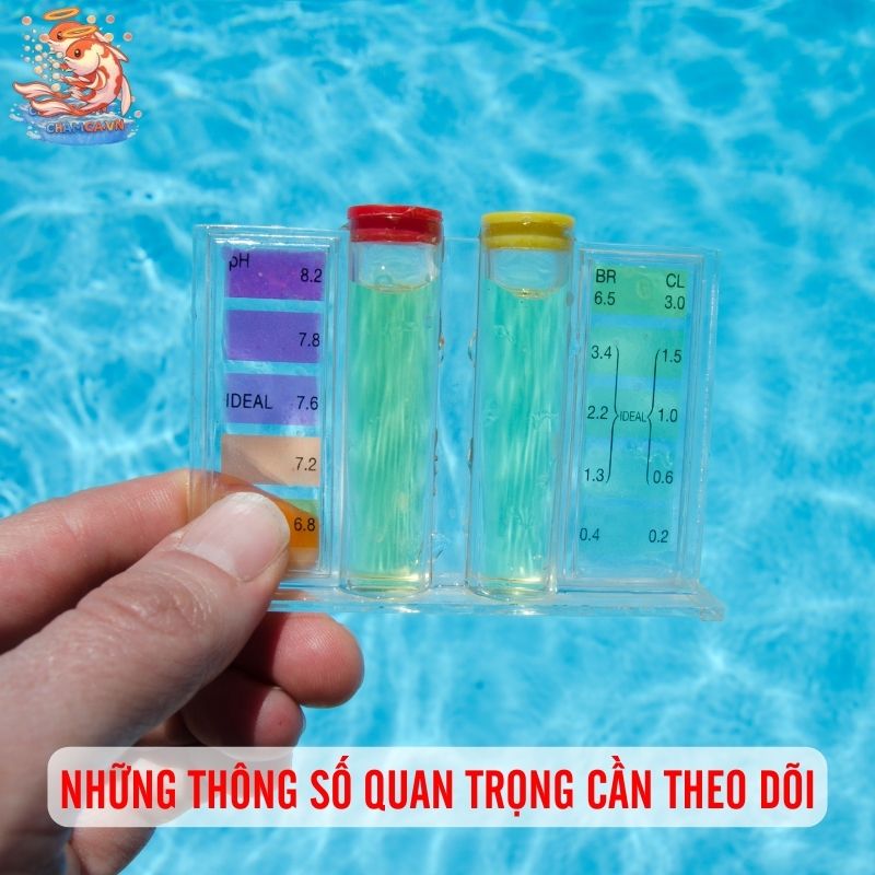 Kiểm Tra Chất Lượng Nước - Việc Thiết Yếu Cho Cá Luôn Khoẻ 2 Những thông số quan trọng cần theo dõi