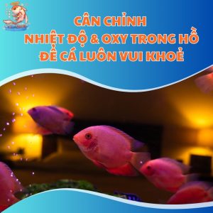 nhiet-do&-oxy-thum-moi