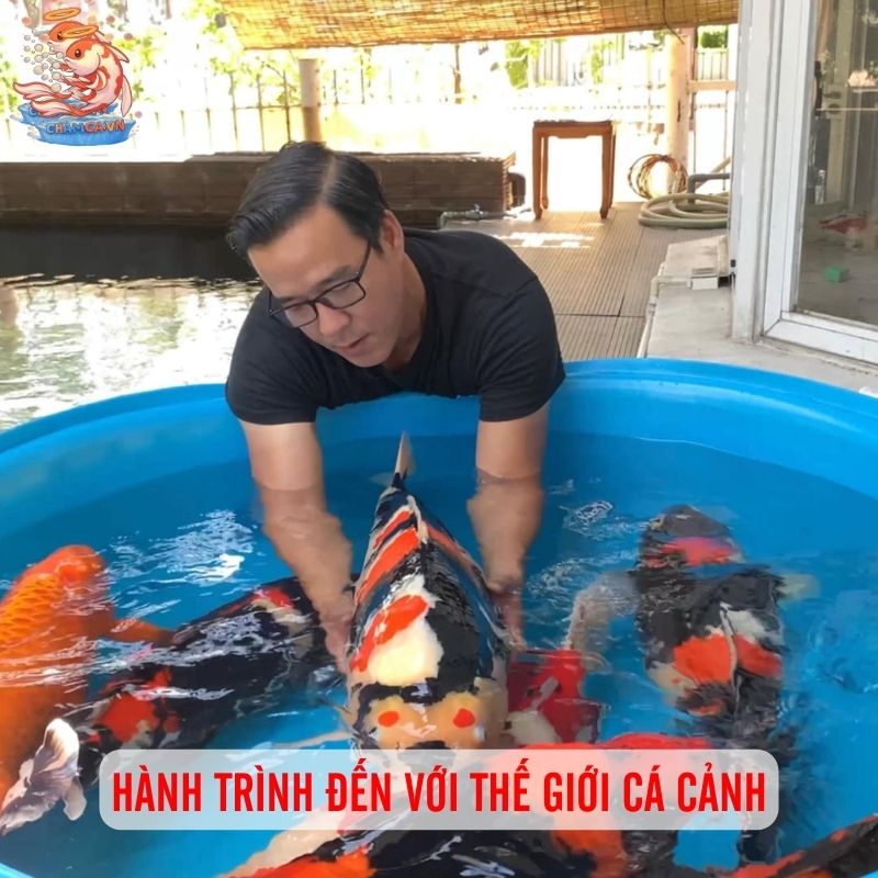 Tác Giả Chăm Cá Ngô Văn Thắng - Bảo Chứng Cho Uy Tín 2 Hành trình đến với thế giới cá cảnh