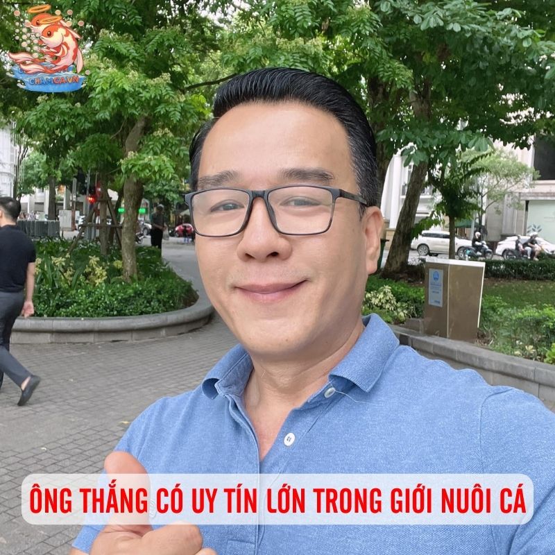 Tác Giả Chăm Cá Ngô Văn Thắng - Bảo Chứng Cho Uy Tín 3 Ông Thắng có uy tín lớn trong giới nuôi cá