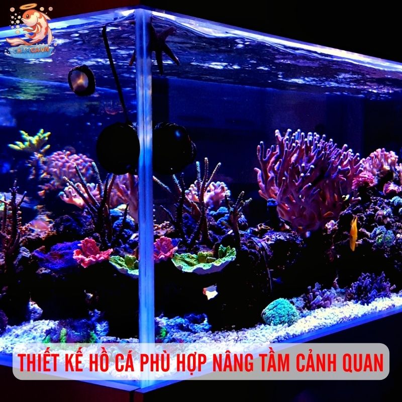 Thiết Kế Hồ Cá Theo Không Gian Chuẩn Nhất Cho Người Mới 1 Thiết kế hồ cá phù hợp giúp nâng tầm cảnh quan