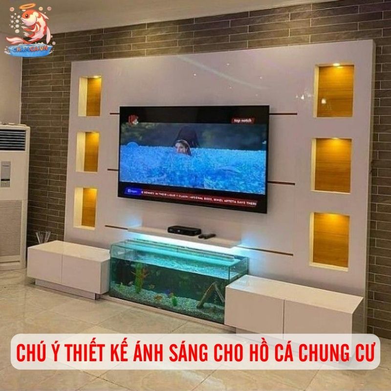 Thiết Kế Hồ Cá Theo Không Gian Chuẩn Nhất Cho Người Mới 6 Chú ý thiết kế ánh sáng cho hồ cá chung cư