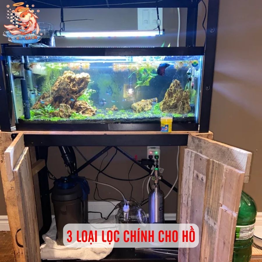 Thiết Kế Bộ Lọc Cho Hồ Nhỏ Để Tối Ưu Chi Phí Nhất 1 3 loại lọc chính cho hồ