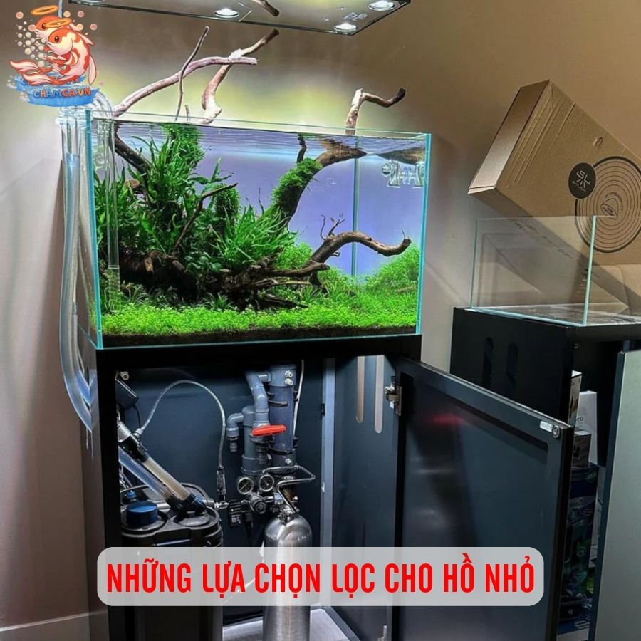 Thiết Kế Bộ Lọc Cho Hồ Nhỏ Để Tối Ưu Chi Phí Nhất 2 Những lựa chọn lọc cho hồ nhỏ