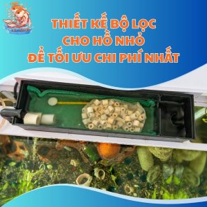 Thiết Kế Bộ Lọc Cho Hồ Nhỏ Để Tối Ưu Chi Phí Nhất