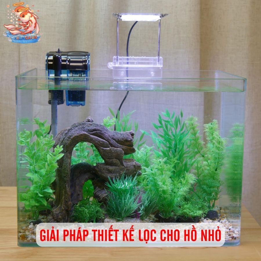 Thiết Kế Bộ Lọc Cho Hồ Nhỏ Để Tối Ưu Chi Phí Nhất 3 Giải pháp thiết kế lọc cho hồ nhỏ
