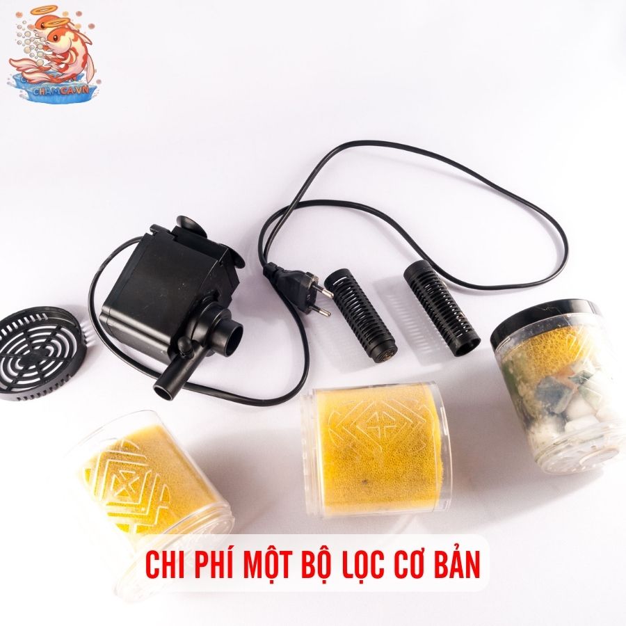 Thiết Kế Bộ Lọc Cho Hồ Nhỏ Để Tối Ưu Chi Phí Nhất 5 Chi phí một bộ lọc cơ bản