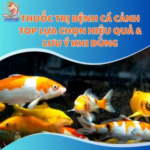 thuoc-tri-benh-ca-canh-thum-moi