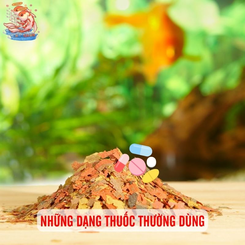 Trộn Thuốc Vào Thức Ăn Cho Cá Thế Nào Để Đạt Hiệu Quả 2 Những dạng thuốc thường dùng