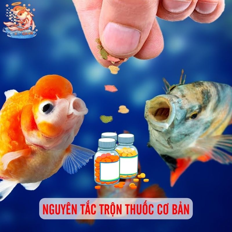 Trộn Thuốc Vào Thức Ăn Cho Cá Thế Nào Để Đạt Hiệu Quả 3 Nguyên tắc trộn thuốc cơ bản
