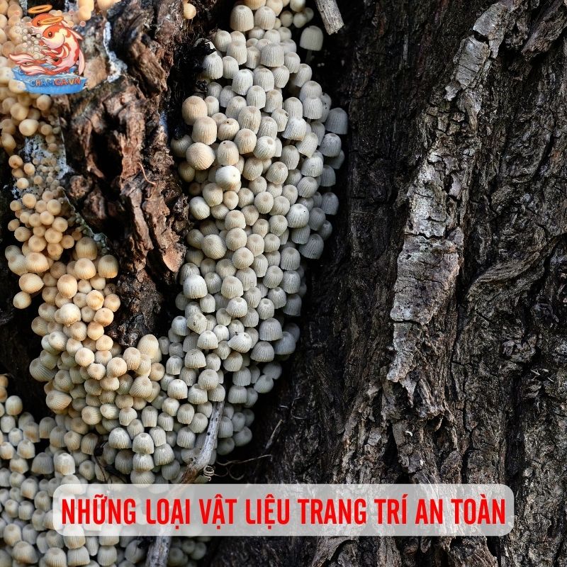 Bí Quyết Chọn Vật Liệu Hồ Cá Không Ảnh Hưởng pH 2 Những loại vật liệu trang trí an toàn