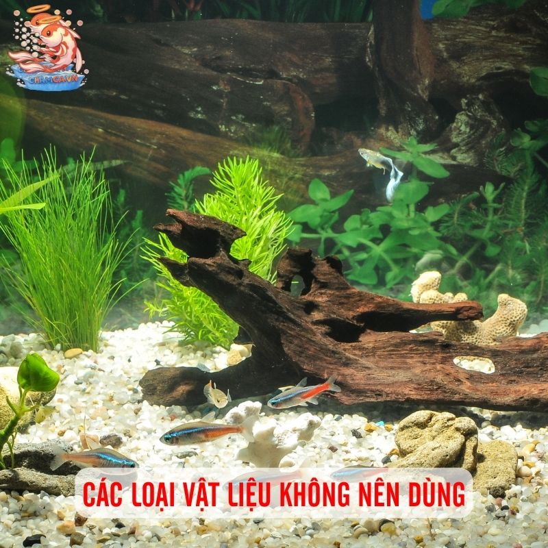 Bí Quyết Chọn Vật Liệu Hồ Cá Không Ảnh Hưởng pH 4 Các loại vật liệu không nên dùng