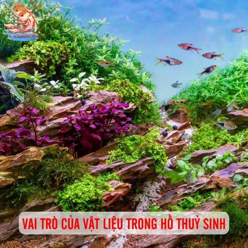 Bí Quyết Chọn Vật Liệu Hồ Cá Không Ảnh Hưởng pH 1 Vai trò của vật liệu trong hồ thuỷ sinh