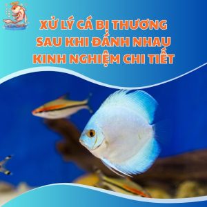 xu-ly-ca-canh-bi-thuong
