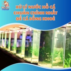 xu-ly-nuoc-ho-ca-thum-moi