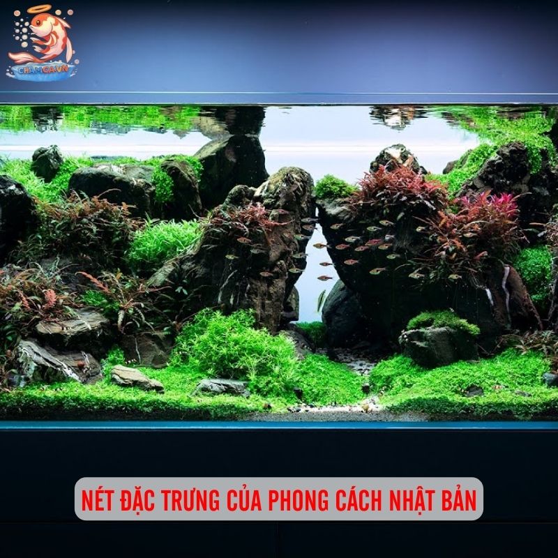 Cá Cảnh Phong Cách Nhật - Chơi Thuỷ Sinh Đậm Chất Thiền 1 Nét đặc trưng của phong cách Nhật Bản