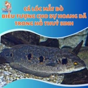 Cá Lóc Mắt Bò - Biểu Tượng Cho Sự Hoang Dã Trong Hồ Thuỷ Sinh