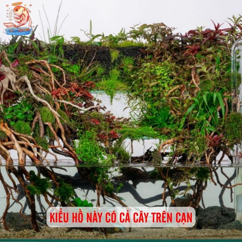 Hồ Cá Phong Cách Bán Cạn - Decor Góc Thiên Nhiên Tại Nhà 2 Kiểu hồ này có cả cây trên cạn