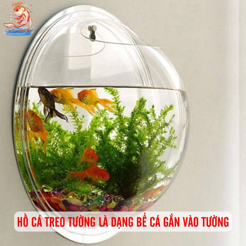 Hồ Cá Thủy Sinh Treo Tường Trang Trí Hiện Đại Cho Không Gian 1 Hồ cá treo tường là dạng bể cá gắn vào tường