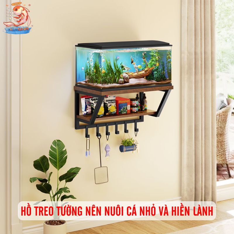 Hồ Cá Thủy Sinh Treo Tường Trang Trí Hiện Đại Cho Không Gian 3 Hồ treo tường nên nuôi cá nhỏ và hiền lành