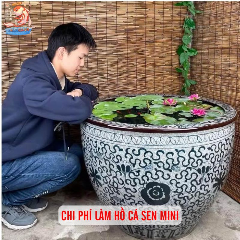 Hồ Cá Trồng Sen Mini: Mang Bình Yên Vào Không Gian Đô Thị 8 Chi phí làm hồ cá sen mini