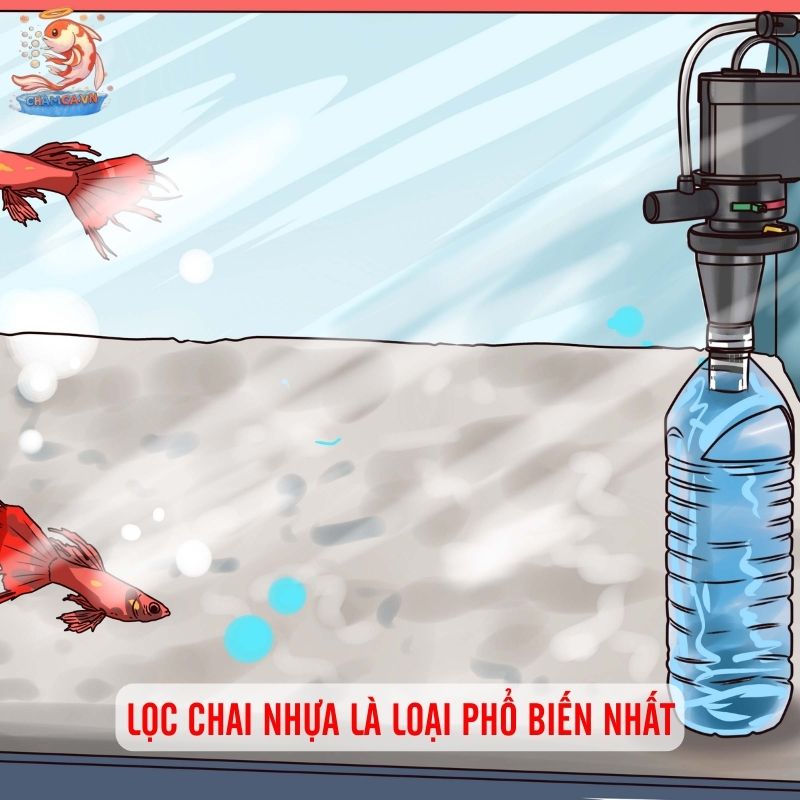 Cách Làm Lọc Tự Chế Cho Hồ Cá: Rẻ & Hiệu Quả Nhất 2 Lọc chai nhựa là loại phổ biến nhất
