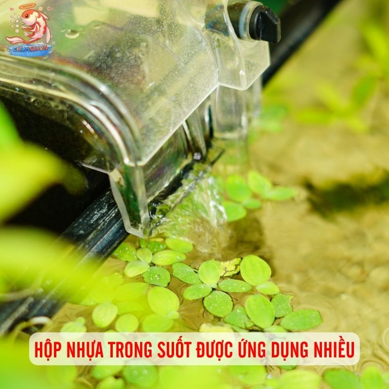 Cách Làm Lọc Tự Chế Cho Hồ Cá: Rẻ & Hiệu Quả Nhất 3 Hộp nhựa trong suốt được ứng dụng nhiều